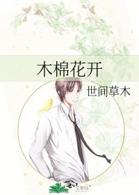 木棉花开